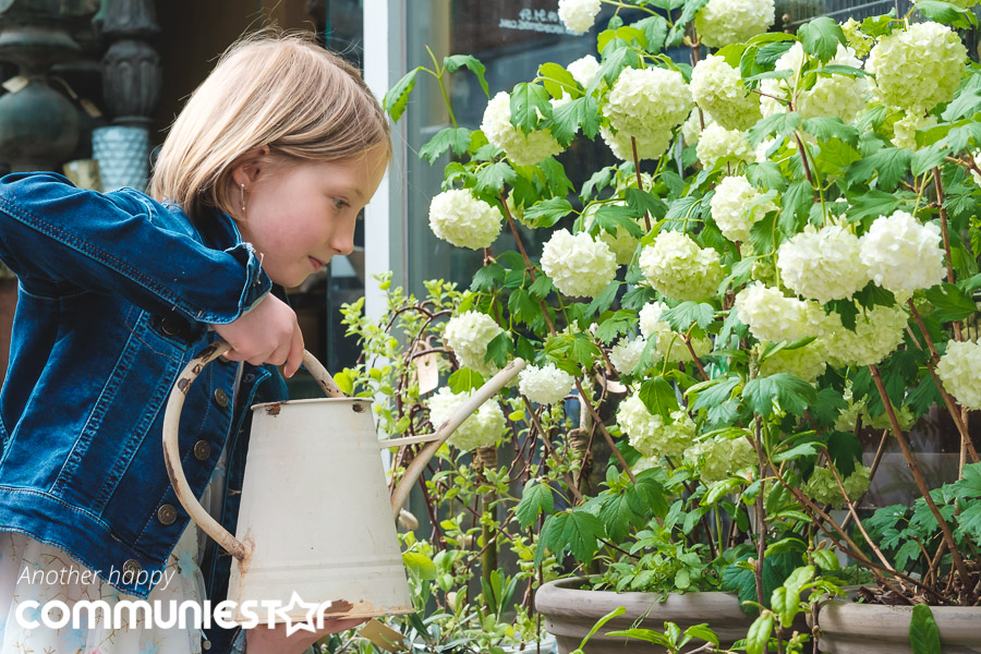 Bloemen water geven in de winkel